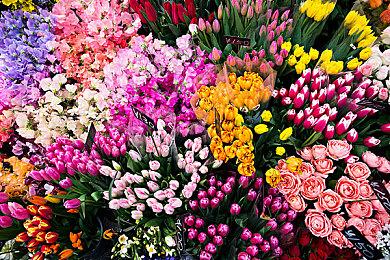 《真三国无双：起源》玩家能与女武将发展暧昧关系